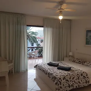 https://apartamento-las-americas-paraiso-royal.tenerifehoteles.net